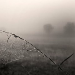 Voices Of Loneliness(volume)