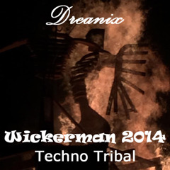 Wickerman 2014 Techno Tribal