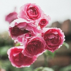 Yıldız Tilbe - Hastayım Sana