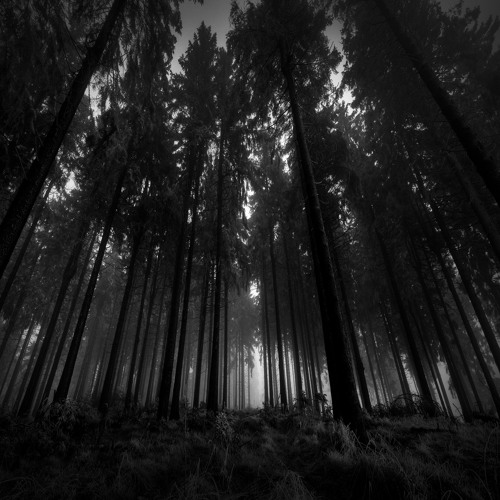 The Cure - A Forest (::bramski:: interpretation)