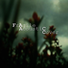 Fragile [Acoustic Cover By Pay Mann]