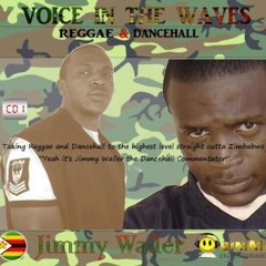 VOICE IN THE WAVES CD1 SNEAK PREVIEW!!! Reggae and Dancehall EXCLUSIVE OUTTA ZIMBABWE!!!