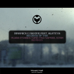 Because Of You (Sinistro Remix)