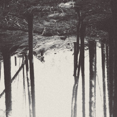 Silicoso - Bajo El Bosque