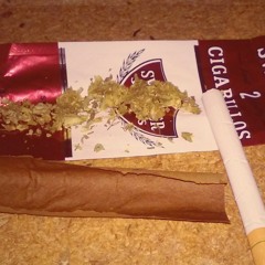 Closed Curtains (mix).mp3