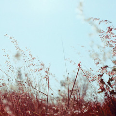 A Natural Garden / Produced by Weidong Lin