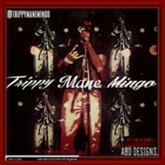 Trippy Man Mingo- Fancy Medication Ft Skyler Rogers