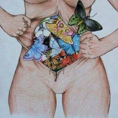 infinite fidelity - original