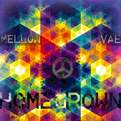 Mellow - "Homegrown" (Feat. Vae)(Prod. Illmind)