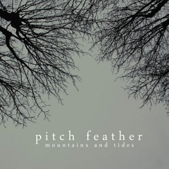 Pitch Feather - Elderflower Fall