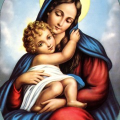Veneration Hymn Shere Theotoke