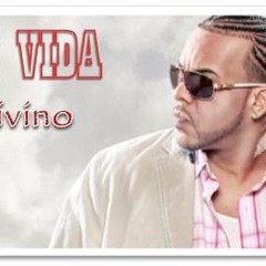 Mi Vida - Divino