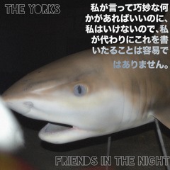 01 Friends In The Night