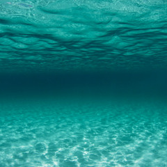 majestic deep