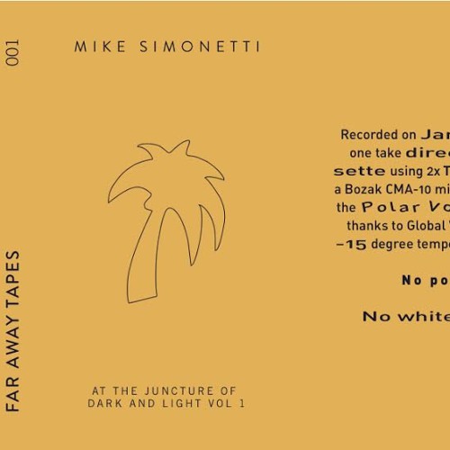Mike Simonetti - At The Juncture Of Dark And Light - Volume 1