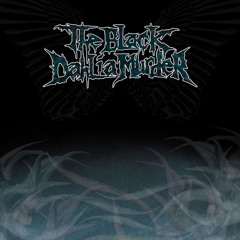 Apex Instrumental Cover-By The Black Dahlia Murder Instrumental