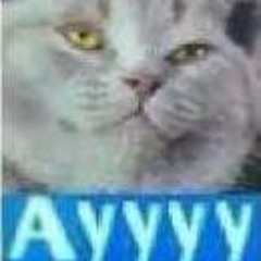 trapbootlegofsomegangstarapperrr