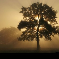 Nouveau Jour - Vincent Bolzano