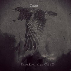 Tensor X Death Grips- Jim Morrison Style