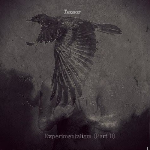 Tensor X Death Grips- Jim Morrison Style