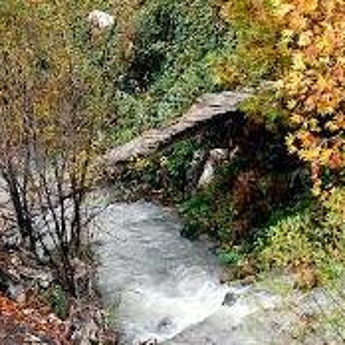سفر بورده مه ره نائوته که شونه