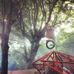 Luke Warren - Live From Gottwood Festival