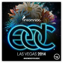 Brennan Heart LIVE at EDC Las Vegas (21.06.2014)