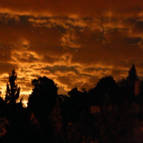 One Cosmic Year in One Hour (55-Minute-Version)