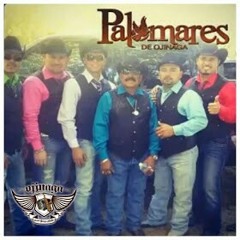 Los palomares de ojinaga**con veinte cervezas**