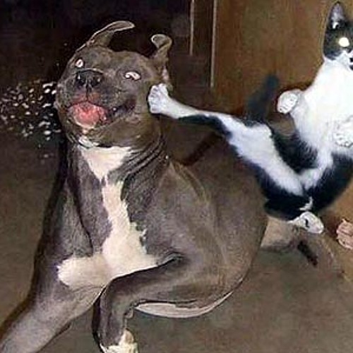 KnicK KnacK KnocK KoPP ab (Action Jackson MiX)