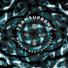 Vol. 115 (EDM Festival Build Week)