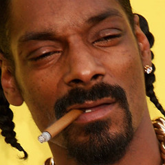 Funky Snoop