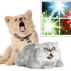 Fourth day of the Seventh month of the white person's calendar year Celebration Mix