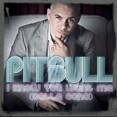 Pitbull - I Know You Want Me (Dj Silver Balkan Bootleg - Ferry S Mastering Edit)