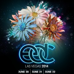 EDC Las Vegas 2014