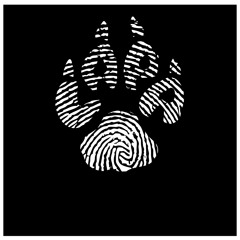 PsychoDance Tribe