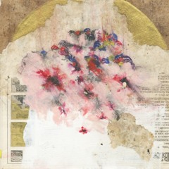 Tous les soleils: La carpinese