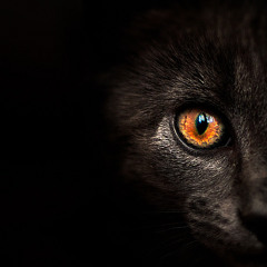 Blu Mar Ten Ft. Seba- Hunter (Symphra Remix)