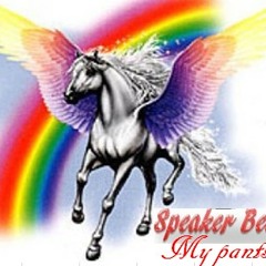 Speaker Beef : My Pants