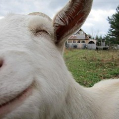 Friday Night Heights