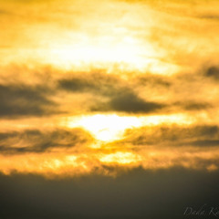 Prabháta Saḿgiita  # 9