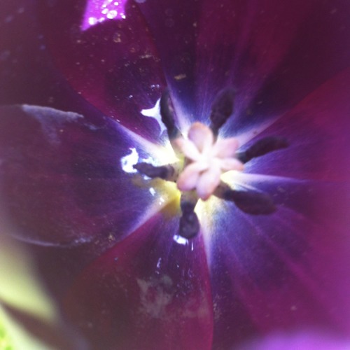 Core