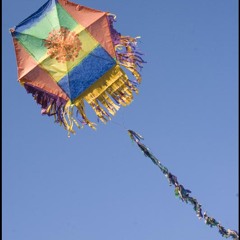 Go Fly A Kite