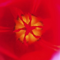 Bursts