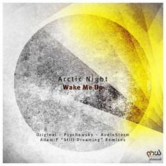 Arctic Night - Wake Me Up (Psychowsky Remix)