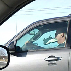 StrudsiGallop & Khal Allan - Paa Farten