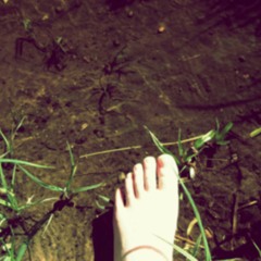 BLUEBERRY JAM - The Illusives