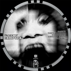 Projekt2P - Slow Down The Bit (Sebastian Groth Remix)