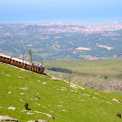 Zato ene bila! - Matloiseau (Mini Set Live)