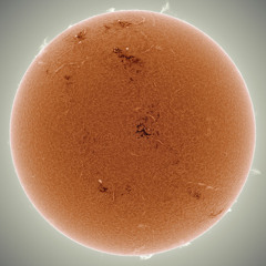 You Bring The Sun Out